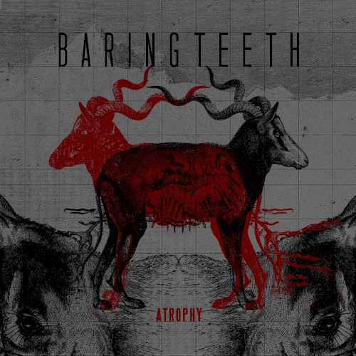 Baring Teeth - Atrophy